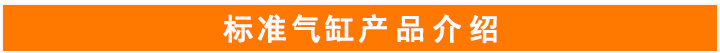 DNC氣缸
