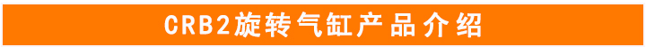 旋轉(zhuǎn)氣缸